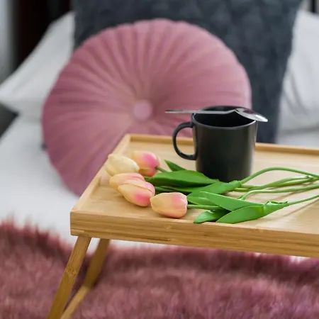Apartment Garbary By Renters *